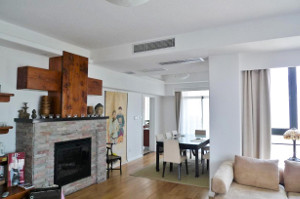 Bright 3BR apartment with fireplace in French Concession