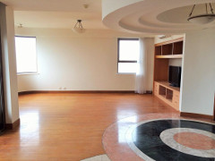 Big 4BR duplex high floor apartment in French Concession