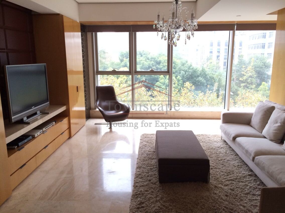 Prestigious Expat apartment in Central city area