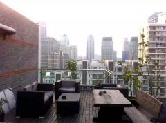 Top 3 bed luxury apartment Xintiandi 80sqm terrace