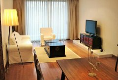 Perfectly furnished luxury apartment in Xintiandi