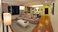 Modern, luxurious apartment in Skyline Mansion, Lujiazui