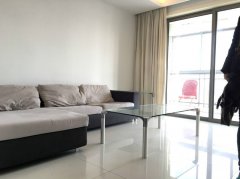 Sunny 2BR Apartment in Huangpu, next to Xinzha Road Metro Lin