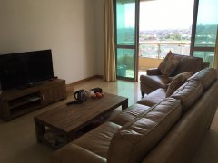 2BR Apartment for rent in Shimao Lakeside Garden, Jinqiao Pud