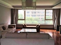 Top-End 3BR Apartment for rent in The Paragon on Maoming Road