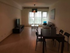 3BR Apartment in 8 Park Avenue, Jingan