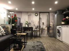 Stylish Downtown Apartment for rent