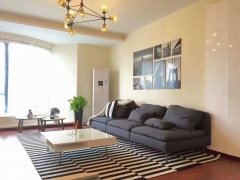 Modern apartment for rent in Pudong nr Century Park