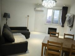 Renovated 1BR Apartment in Jingan Temple area