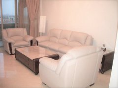 Luxury 2BR apartment located in Green city, Pudong district