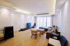 High-End Apartment in French Concession