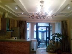 Renting modern lane house shanghai Private garden apartment in French Concession