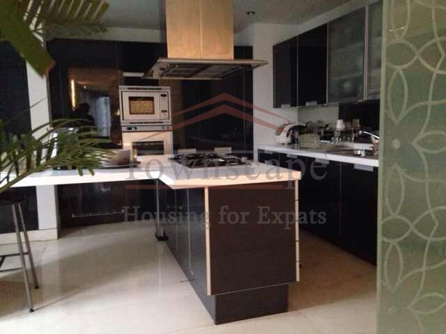 new decorated apartment shanghai 360 sqm unbelievable apartment in Xintiandi area