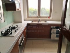 Shanghai western standard apartment Modern 3br apartment in Pudong nr Century Park