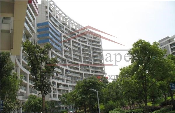  High quality two bedroom apartment in Pudong