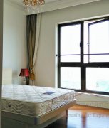 Xintiandi penthouse High Floor Apartment for Rent in Xintiandi Lakeville Regency