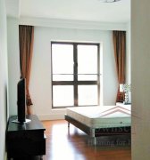 shanghai luxury property High Floor Apartment for Rent in Xintiandi Lakeville Regency