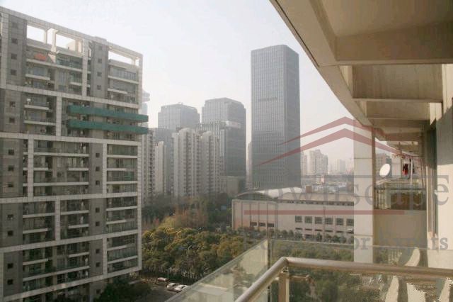 2br apartment near Century Park 2BR Apartment for Rent in Lujiazui Central Palace