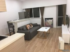  Elegant 1br apartment for rent in Shanghai Downtown