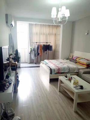  1 Bedroom Apartment with Balcony in Jing