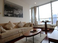 Spacious 1BR Apartment near The Bund & People's Square